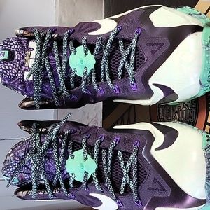 LeBron James Gator King Sneakers